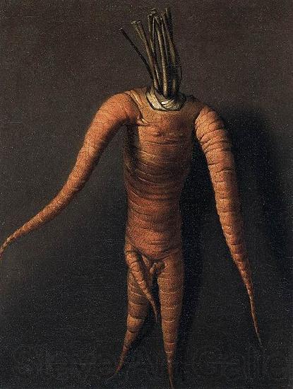 unknow artist Carrot